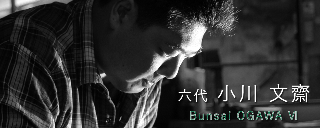 六代小川文齋